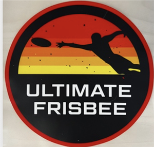 Ultimate Frisbee 